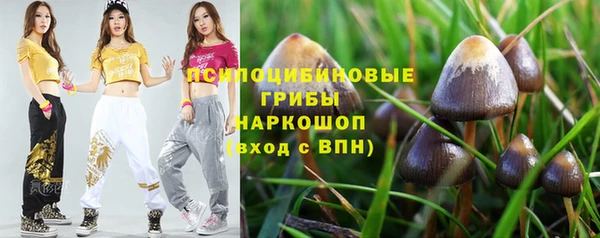 хмурый Алексеевка