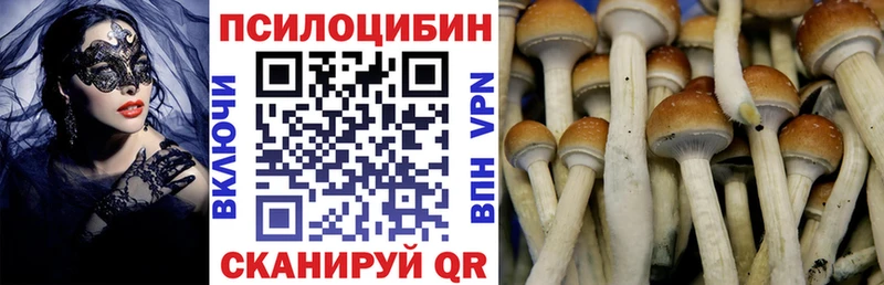 Галлюциногенные грибы мицелий  где можно купить наркотик  Новошахтинск 
