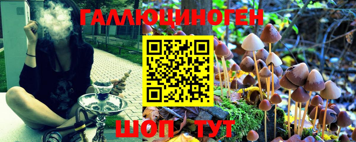 закладка  Псилоцибиновые грибы Magic Shrooms  Вход с VPN  Псилоцибиновые грибы ЛСД  Новошахтинск 
