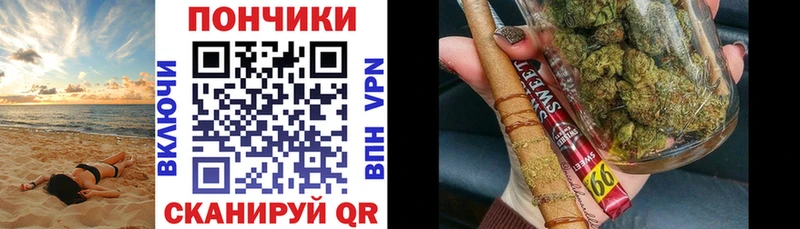 Бошки Шишки SATIVA & INDICA  где можно купить   mega tor  Новошахтинск 